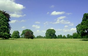 Landscape Widescreen
