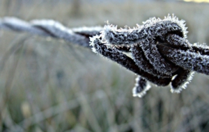 Barb Wire Computer Wallpaper
