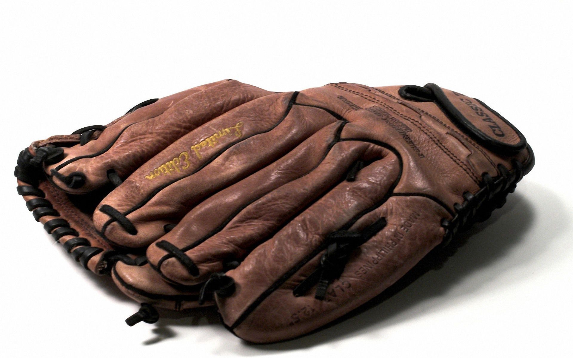 Baseball Gloves Widescreen