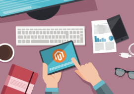 Magento Site Auditing